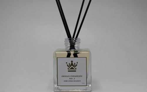 Bambu Çubuklu 2 Adet 100 ML Orman Ferahlığı Oda Kokusu Koku Giderici Ferahlatıcı Hava Temizleyici  2*100 ML