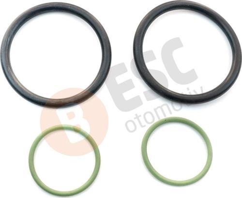 BMW N40 N42 N45 N46 N62 N73 Motor İçin Vanos O Ring Conta Seti 11367506178 11367546379