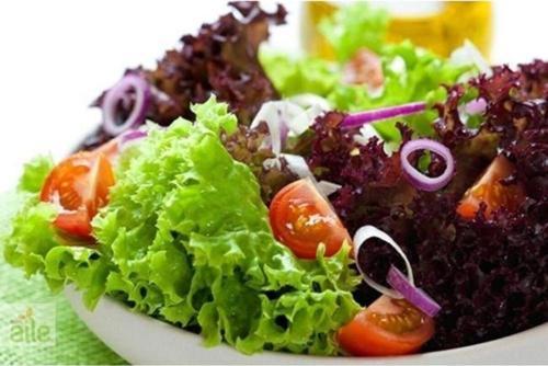 Akdeniz Salatası Mix 500+ Tohum+saksı+toprak