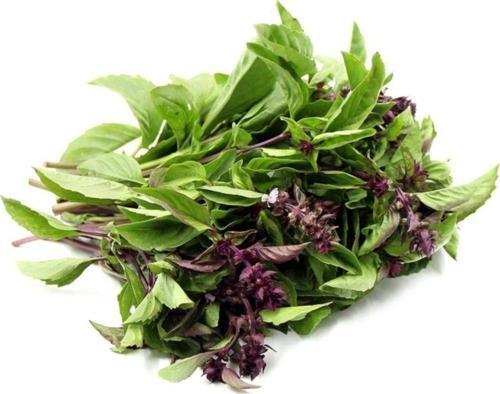 Tarçın Aromalı Fesleğen Tohumu