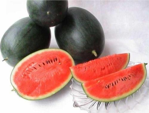 Wasıngton Karpuz Tohumu 10+ Tohum