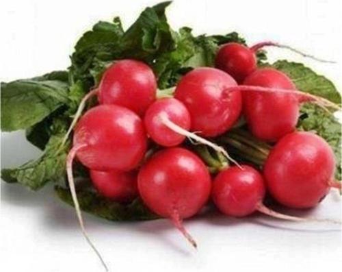 Kırmızı Turp 100+ Adet Tohum