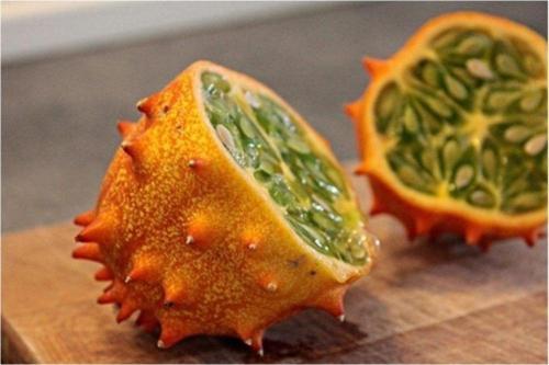 Kiwano Tohumu*(Boynuzlu Kavun)