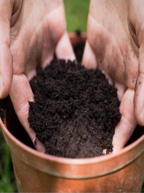 Cocopeat Katklılı Tropikal Bitki Toprağı [ Ev Bahçe]