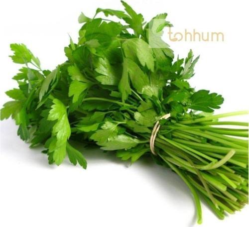 Maydonoz 1000+ Tohum +saksı+toprak