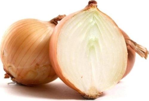 Onion Soğan* 50+ Tohum