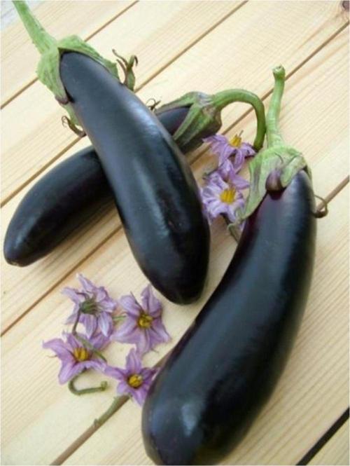 Pala Patlıcan Tohumu