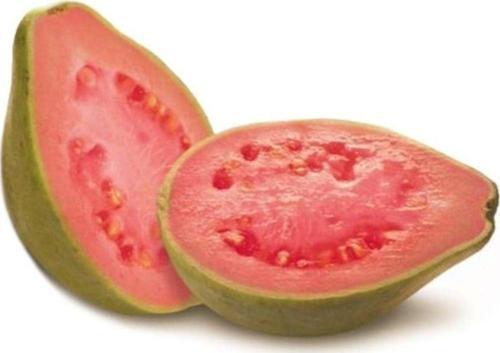 Guava Meyvesi Tohumu