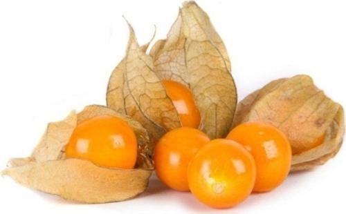 Saksılık Altın Çilek 25+tohum +saksı+toprak