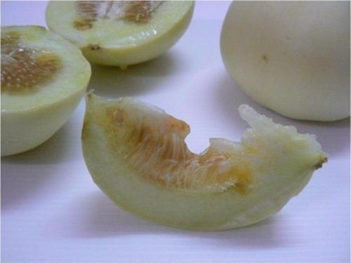 Saksılık Elma Kavunu * 5 Nadir Tohum