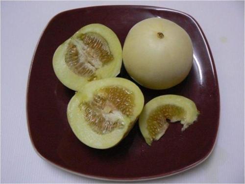 Saksılık Elma Kavunu 5 Nadir Tohum+saksı+toprak