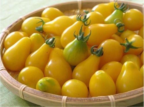 Sarı Ampul Cherry Domates