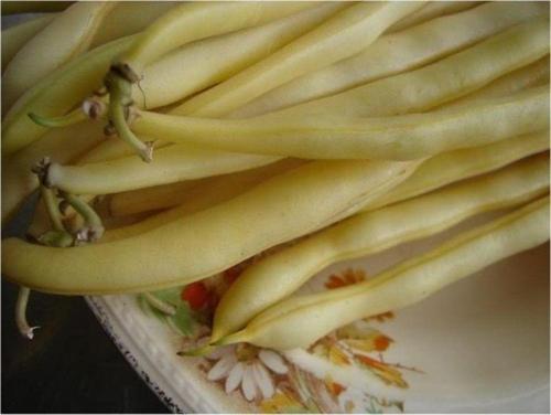 Sarı Fasulye*(Golden Bean)
