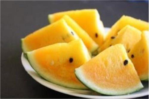 Sarı Karpuz Tohumu 3 Adet Tohum