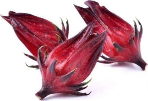 Şifalı Roselle Bitkisi 10+ Tohum