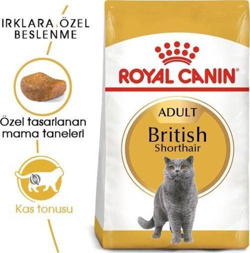 British Shorthair Adult Yetişkin Kedi Maması 2 kg