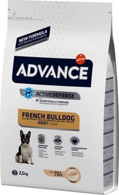 Dog French Bulldog 2,5 Kg