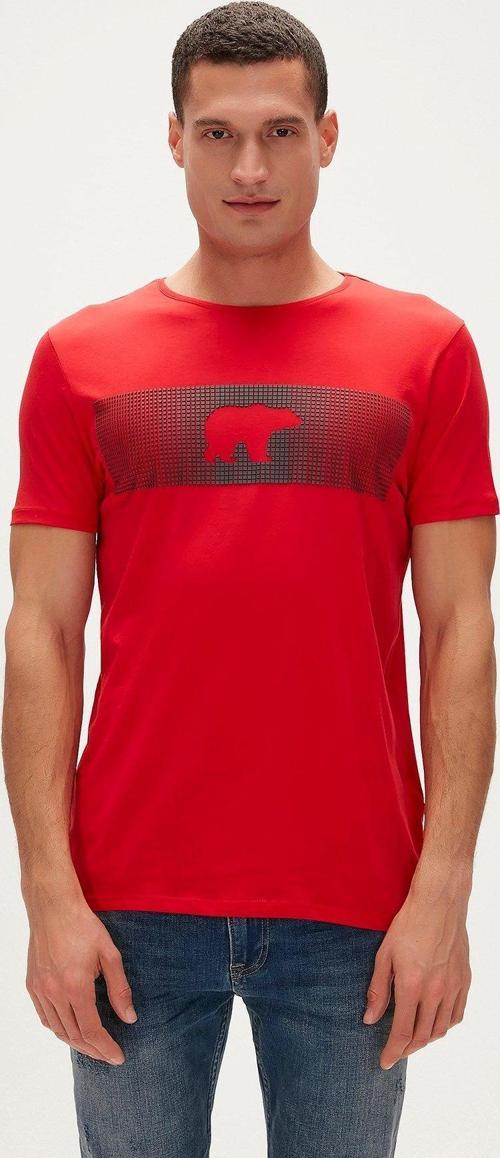 Fancy T-Shirt Crimson Red Kırmızı 3D Baskılı Bisiklet Yaka Erkek Tişört