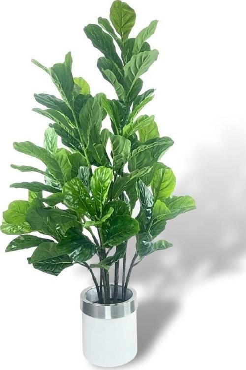 Yapay Ağaç Keman Yapraklı Kavuçuk Yeşil Salon Bitkisi Beyaz Gümüş Galvaniz Saksıda 140Cm