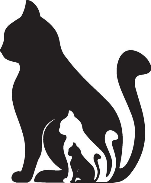 Kedi Ailesi Duvar Dekor Sticker 40 x 48 Cm