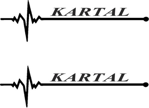 Nabız Ritm Oto Cam Sticker Kartal 30 X 8 CM