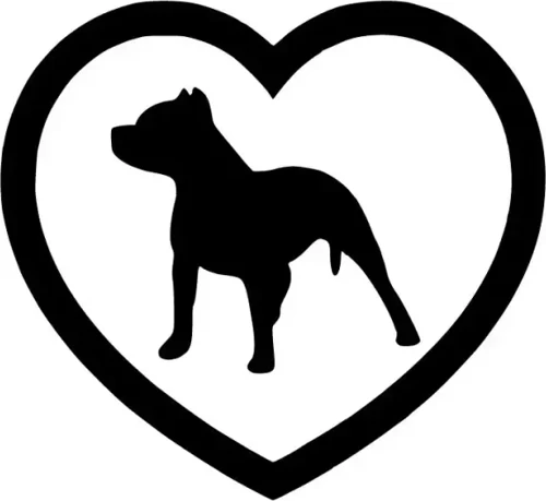 Pitbul Aşktır Sticker Duvar Dekor Sticker 40 x 36 cm