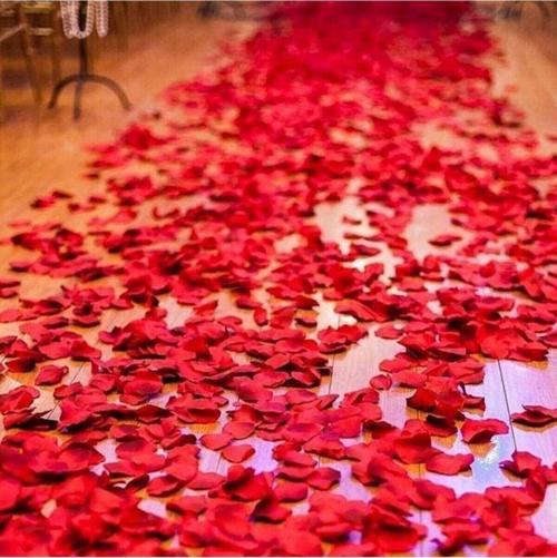 Sevgiliye Özel Kokulu Gerçek Kurutulmuş Gül Yaprağı Koyu Kırmızı 100 gr