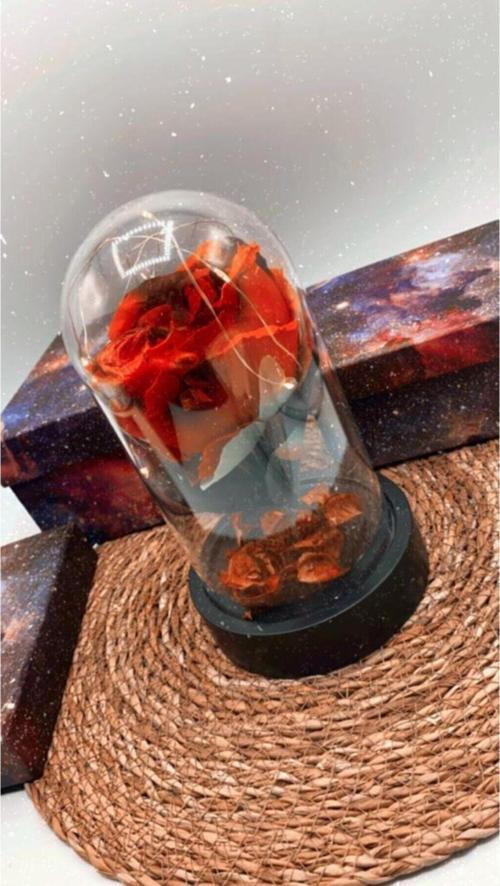 Anneler Gününe Özel Hediye Sevgiliye Hediye Dekoratif Işıklı Gül Fanus Ledli