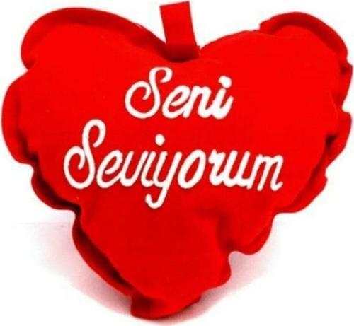 Dekoratif Seni Seviyorum Yazılı Kadife Kalp Yastık
