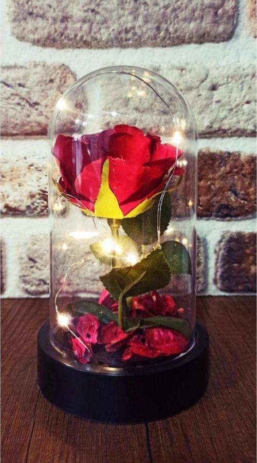 Led Işıklı Şeffaf Mika Işıklı Fanus