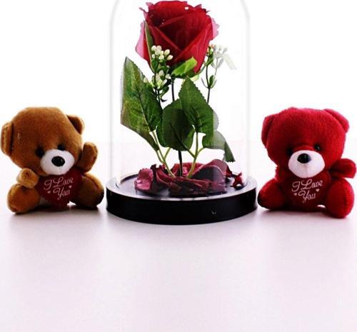 Sevgiliye Eşe Sürpriz Hediye Fanusta Led Işıklı Kırmızı Gül Ve 2 Adet Mini Ayıcıklar Set Sevgiliye