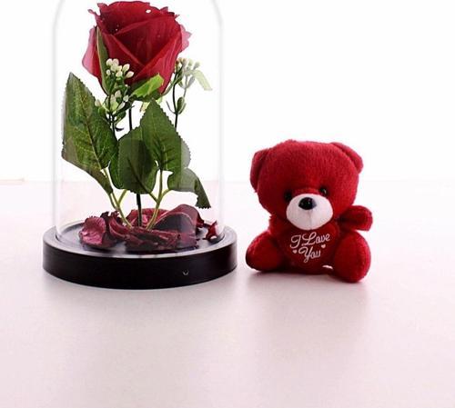 Sevgiliye Eşe Sürpriz Hediye Fanusta Led Işıklı Kırmızı Gül Ve Kırmızı Mini Ayıcık Set Sevgiliye