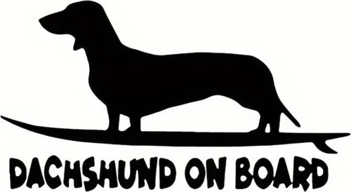 Dachshund On Board Oto Arka Cam Sticker 20 x 11 cm