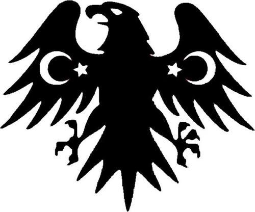Ayyıldız Kanatlı Kartal Oto Arka Cam Sticker 10 x 15 cm