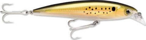 X-Rap Saltwater Maket Balık BNK-120MM