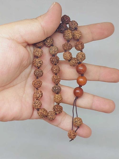 Rudraksha Tohum Düğümlü 33lük Tesbih  (51622)