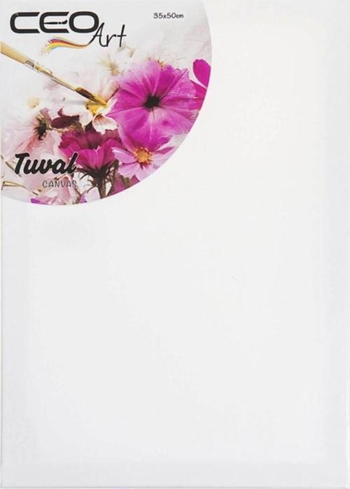 Art Profesyonel Tuval 35x50 Crn-00011