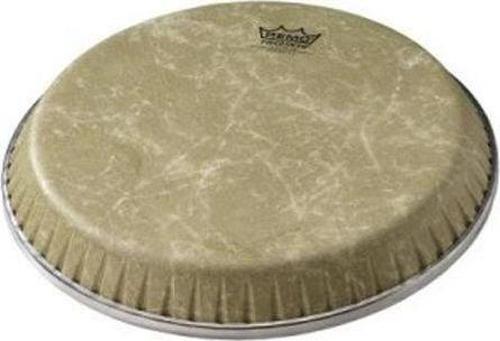 13'' Conga Derisi