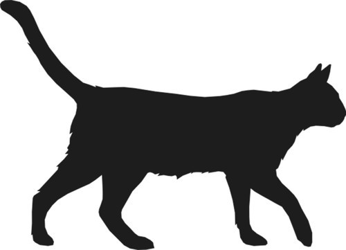 KEDİ FOLYO STİCKER 160cm Uzunluk