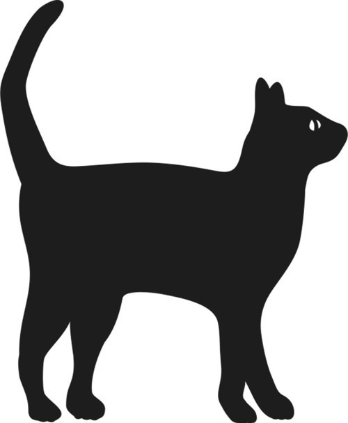 KEDİ FOLYO STİCKER 40cm Uzunluk