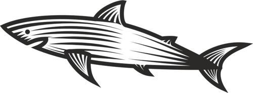 KÖPEK BALIĞI FOLYO STİCKER 100cm Uzunluk