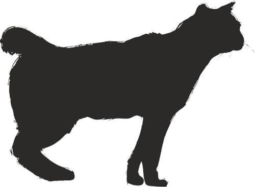 KEDİ FOLYO STİCKER 90 cm uzunluk