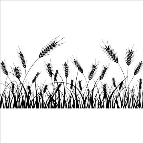 BUĞDAY BAŞAK FOLYO STİCKER 130cm Uzunluk