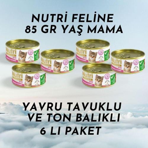 Konserve 85 Gr Yavru Kedi Tavuk Etli Ton Balıklı 6'lı Paket Yaş Mama