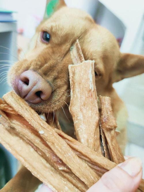 Naturel Köpek Ödülü Kurutulmuş İnek Memesi 100Gr