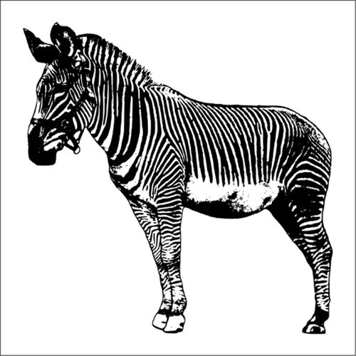 ZEBRA FOLYO STİCKER 20cm uzunluk