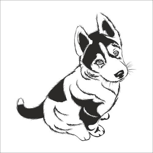 YAVRU KURT FOLYO STİCKER 160cm Uzunluk