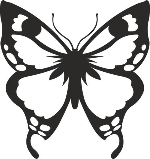 KELEBEK FOLYO STİCKER 50cm Uzunluk