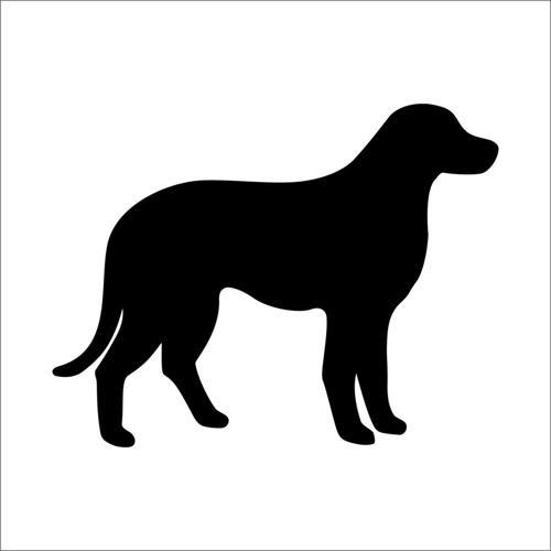 KÖPEK FOLYO STİCKER 100cm Uzunluk