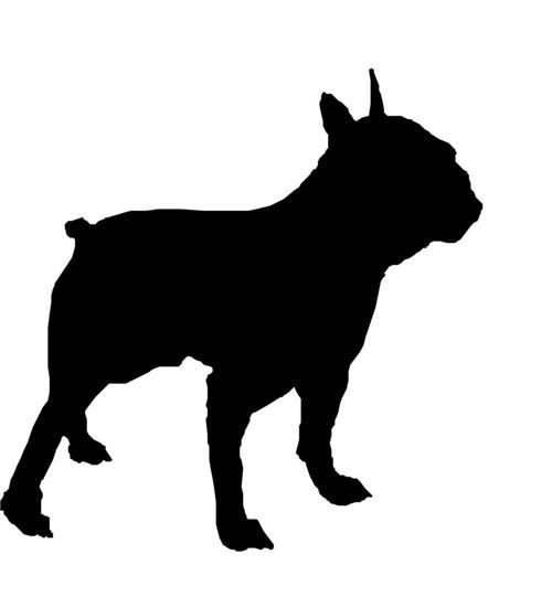 KÖPEK FOLYO STİCKER 160cm Uzunluk